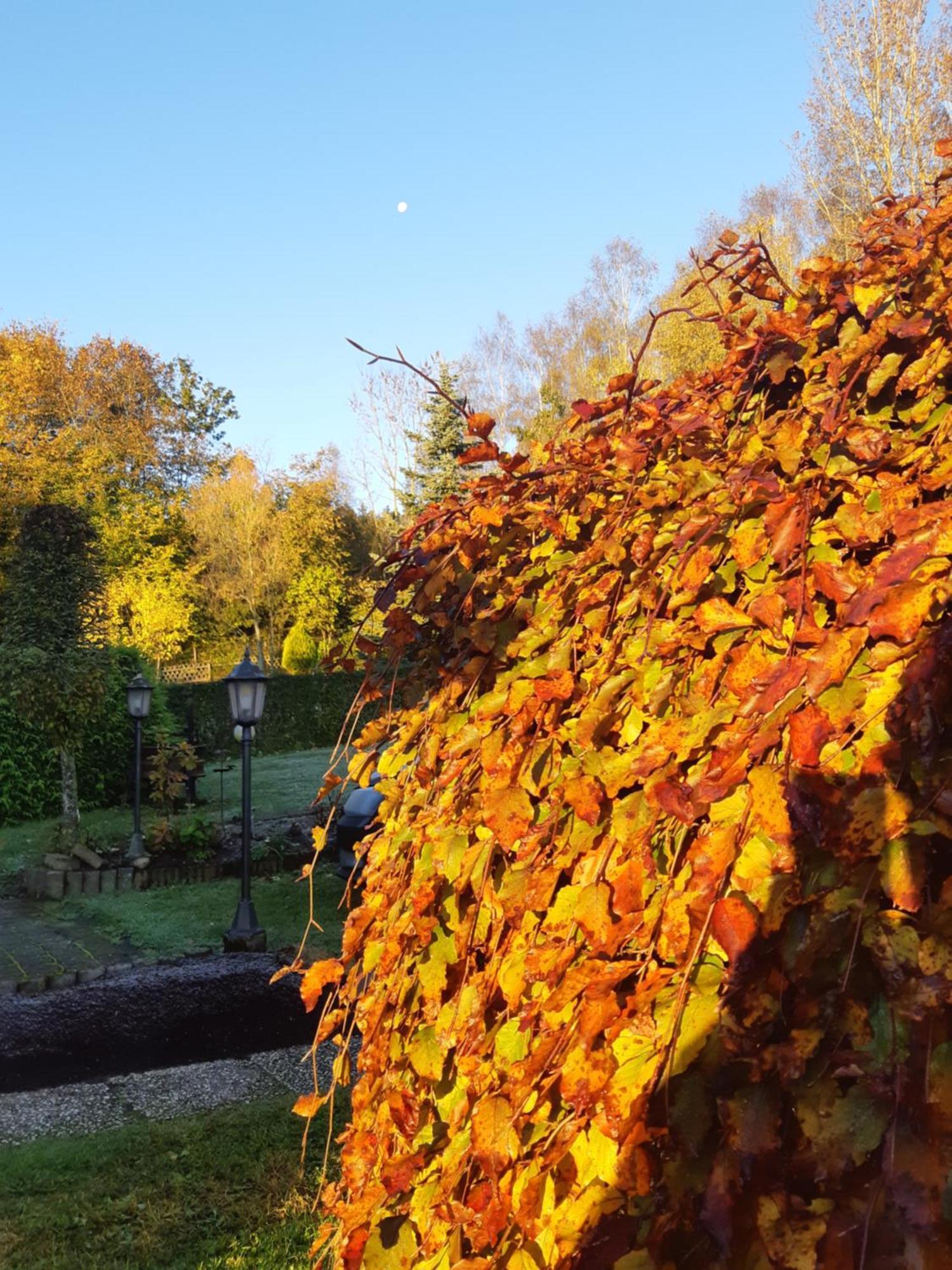 Deine-Eifel-Ferienwohnung Feusdorf Esterno foto