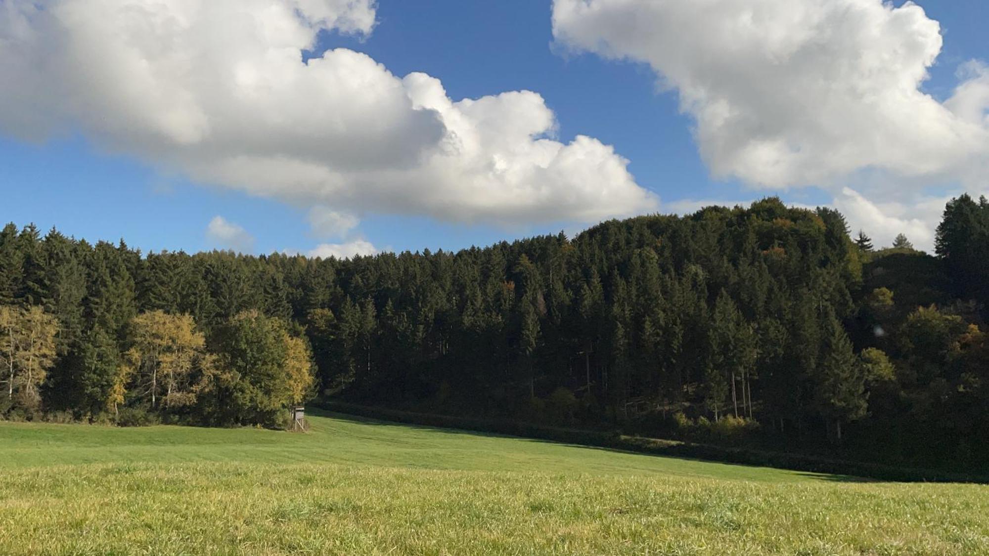 Deine-Eifel-Ferienwohnung Feusdorf Esterno foto