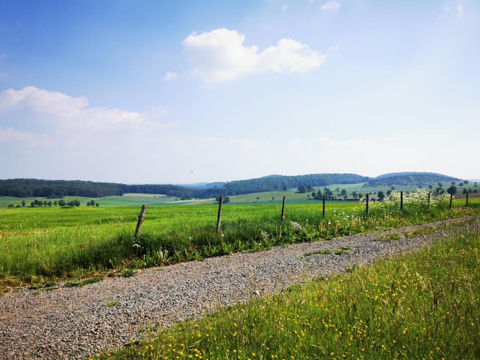 Deine-Eifel-Ferienwohnung Feusdorf Esterno foto