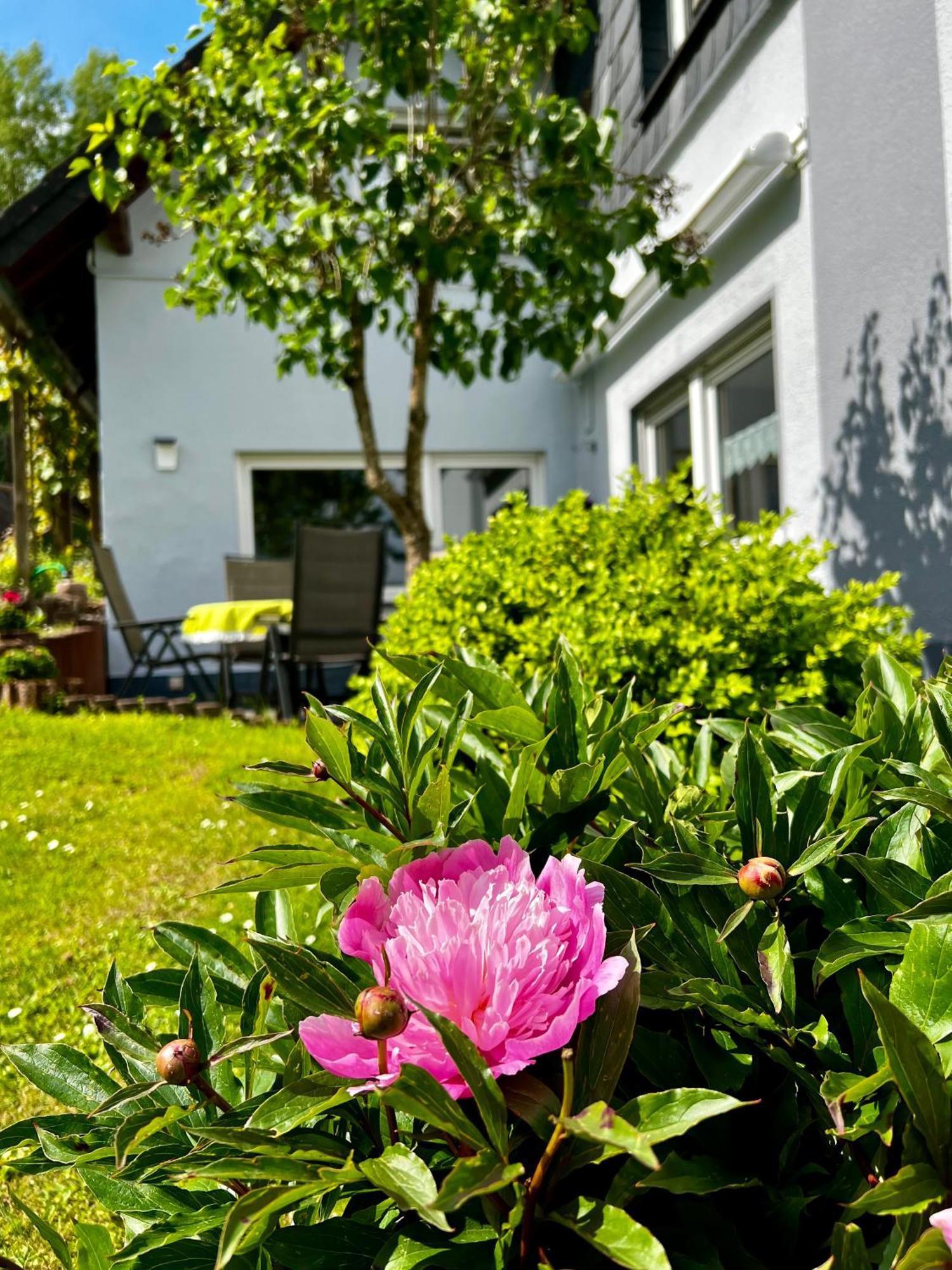 Deine-Eifel-Ferienwohnung Feusdorf Esterno foto