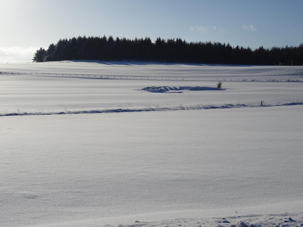 Deine-Eifel-Ferienwohnung Feusdorf Esterno foto