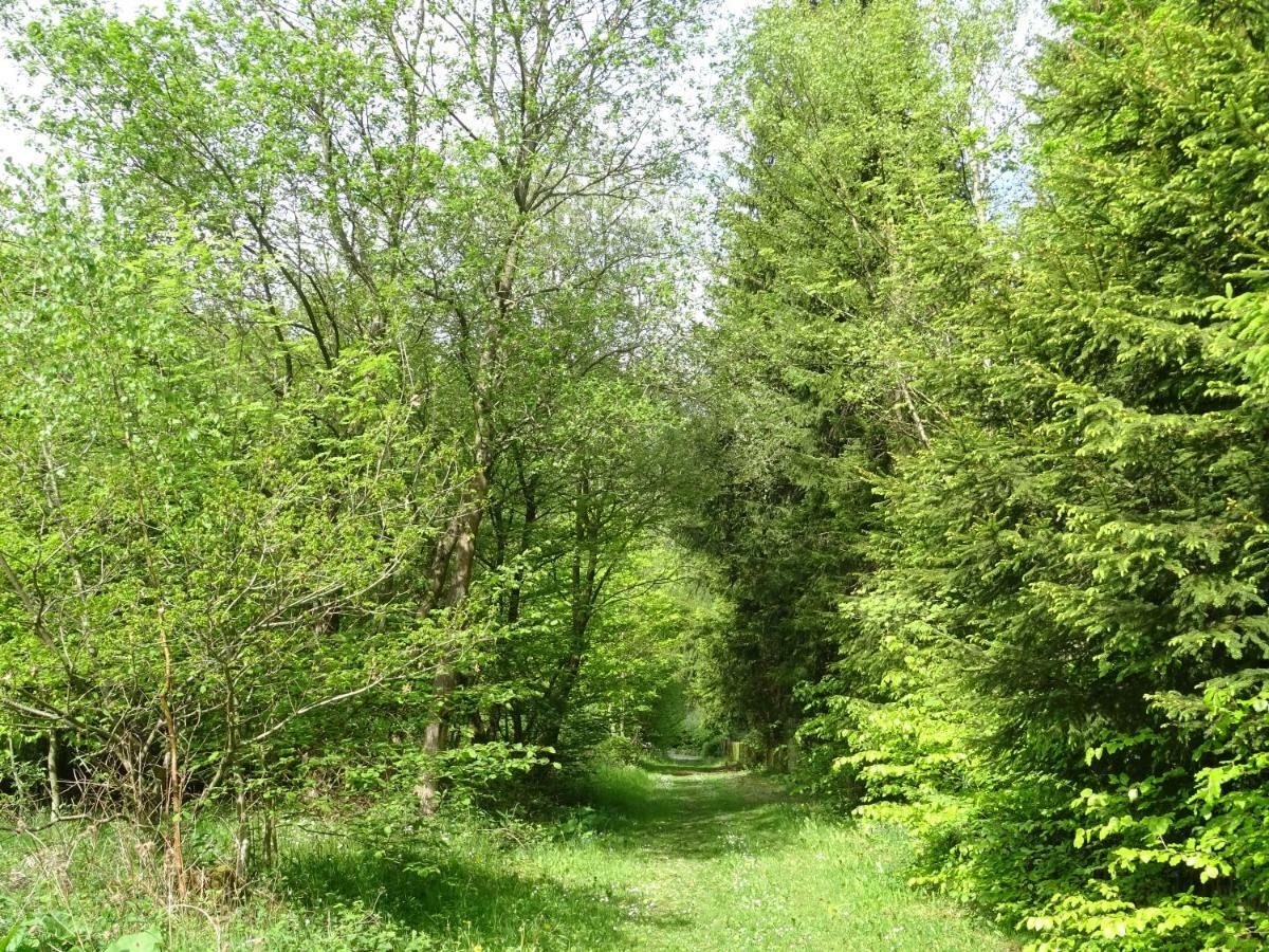 Deine-Eifel-Ferienwohnung Feusdorf Esterno foto