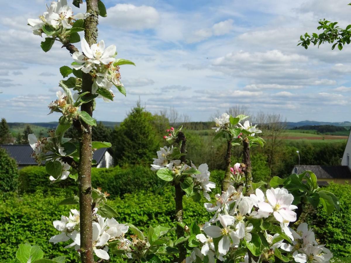 Deine-Eifel-Ferienwohnung Feusdorf Esterno foto
