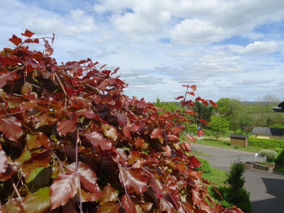 Deine-Eifel-Ferienwohnung Feusdorf Esterno foto